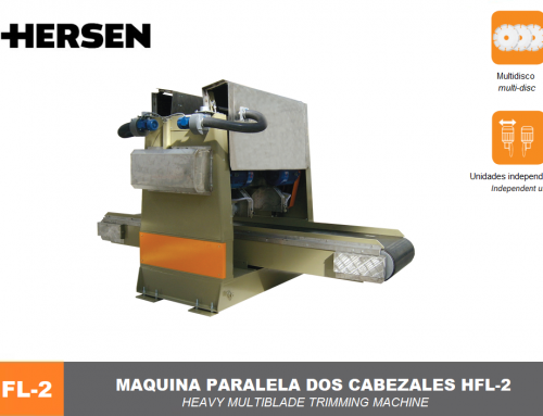 Parallel cutting with two heads HFL-2
